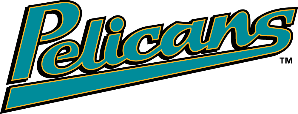 Myrtle Beach Pelicans 1999-2006 Jersey Logo iron on transfers for T-shirts